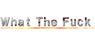 Ｗｈａｔ Ｔｈｅ Ｆｕｃｋ  (Fuck You Mother)
