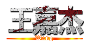 王嘉杰 (Wang)