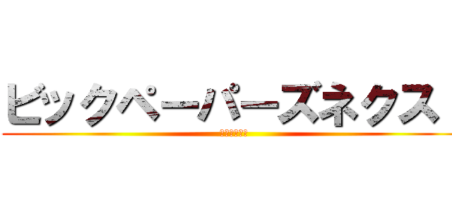 ビックペーパーズネクスト (いやっほーい)