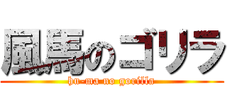 風馬のゴリラ (hu-ma no gorilla)