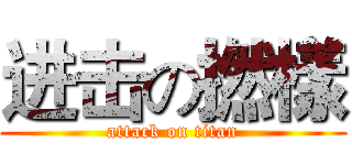 进击の撚樣 (attack on titan)