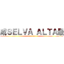 成ＳＥＬＶＡ ＡＬＴＡ最 (rupa-rupa)