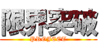 限界突破 (PROJECT)