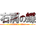 右肩の蝶 (attack on titan)