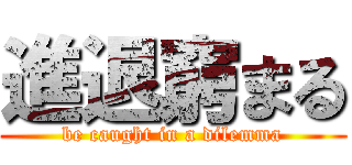 進退窮まる (be caught in a dilemma)