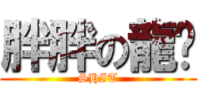 胖胖の龍貓 (SHIT)