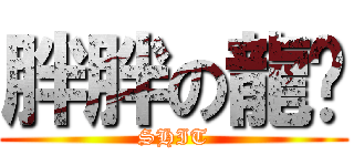 胖胖の龍貓 (SHIT)