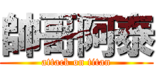 帥哥阿泰 (attack on titan)