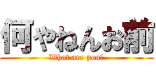 何やねんお前 (What are you?)