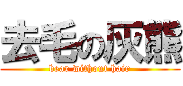 去毛の灰熊 (bear without hair)
