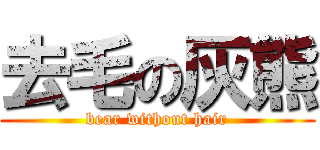 去毛の灰熊 (bear without hair)