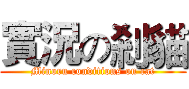 實況の剎貓 (Minoru conditions on cat)