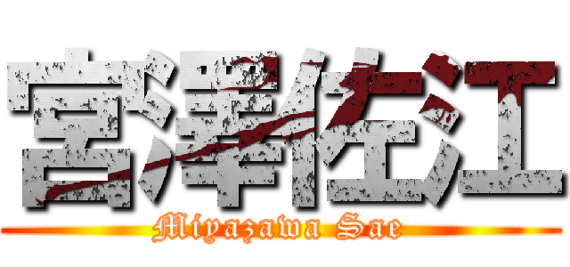 宮澤佐江 (Miyazawa Sae)