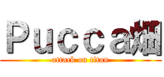 Ｐｕｃｃａ畑 (attack on titan)