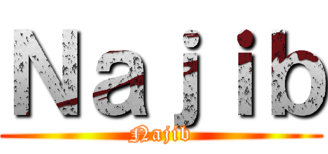 Ｎａｊｉｂ (Najib)