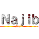 Ｎａｊｉｂ (Najib)