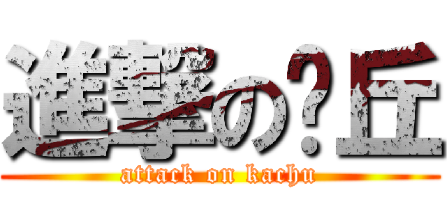 進撃の卡丘 (attack on kachu)