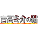 吉高冬介の豬 (KIKO~king)