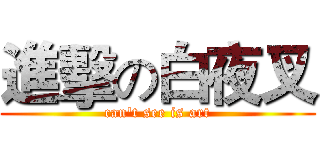 進擊の白夜叉 (can't see is art)