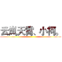 云岚天霄、小柯。 ()