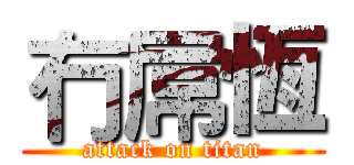 冇屌恆 (attack on titan)