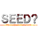 ＳＥＥＤ？ (Where the fuck is seed?)