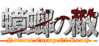 蟑螂の敵 (Natural Enemy Of Roach)