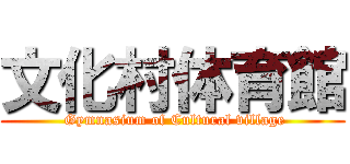 文化村体育館 ( Gymnasium of Cultural village)