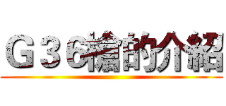 Ｇ３６槍的介紹 ()