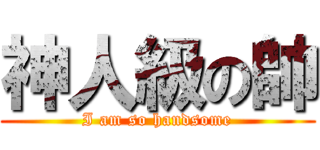 神人級の帥 (I am so handsome)
