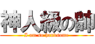神人級の帥 (I am so handsome)