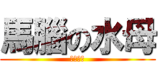 馬腦の水母 (鬼島之王)