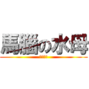 馬腦の水母 (鬼島之王)