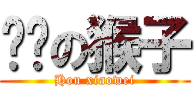 闷骚の猴子 (Hou xiaowei)