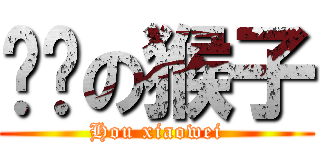 闷骚の猴子 (Hou xiaowei)