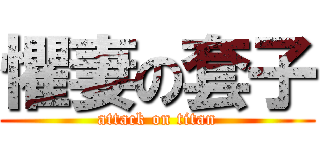 懼妻の套子 (attack on titan)