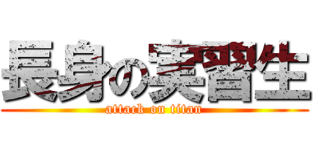 長身の実習生 (attack on titan)