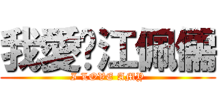 我愛妳江佩儒 (I LOVE AMY)