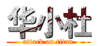 华小杜 (attack on titan)