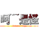 呵~~是怪 (interesting)