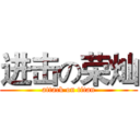进击の荣灿 (attack on titan)