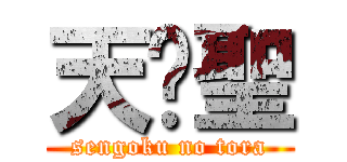 天☩聖 (sengoku no tora)