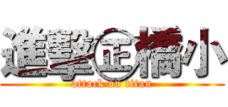 進擊㊣橋小 (attack on titan)