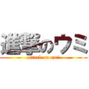 進撃のウミ (attack on umi)