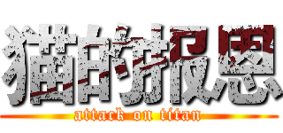 猫的报恩 (attack on titan)