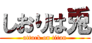 しおりは兎 (attack on titan)