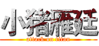 小猪雁廷 (attack on titan)