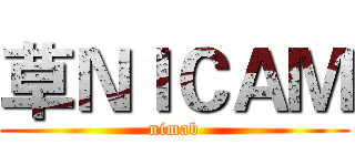 草ＮＩＣＡＭ (nimab)