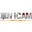 草ＮＩＣＡＭ (nimab)
