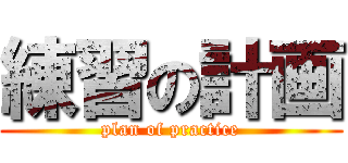 練習の計画 (plan of practice)